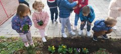 viber_slika_2022-10-06_23-04-36-863.jpg